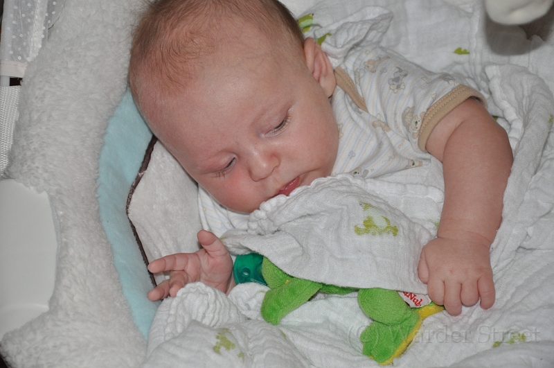 William's Ninth Week 13.jpg